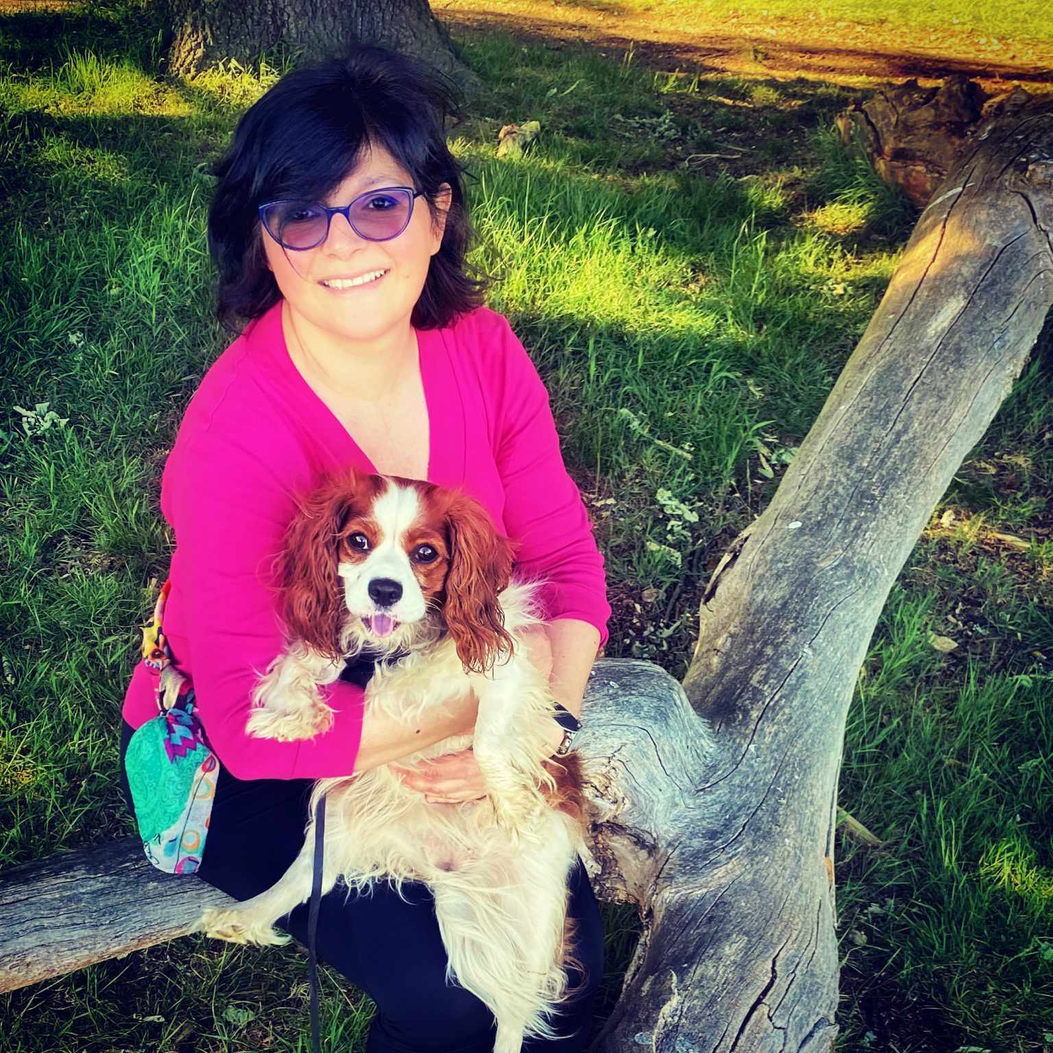 The best dogwalking spot in every London borough